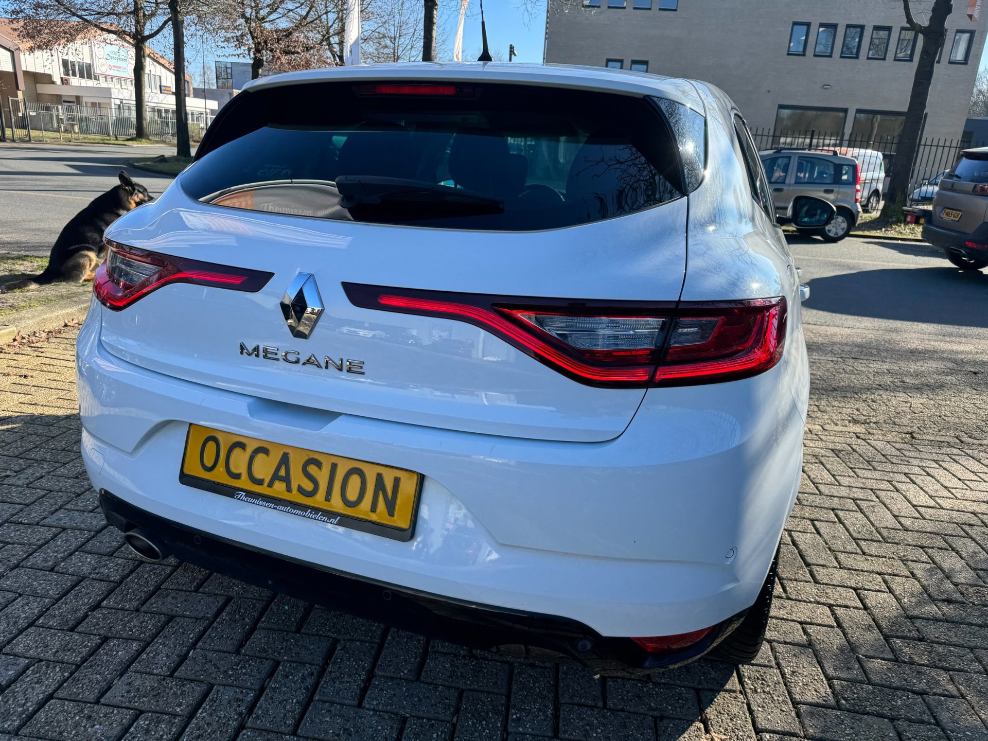 Renault Mégane 1.3 TCe Bose camera (2019), foto 15