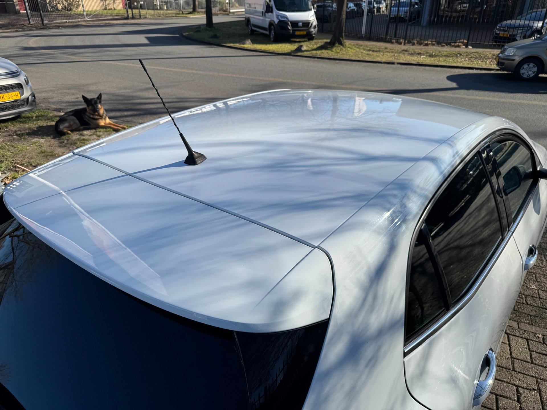 Renault Mégane 1.3 TCe Bose camera (2019), foto 156