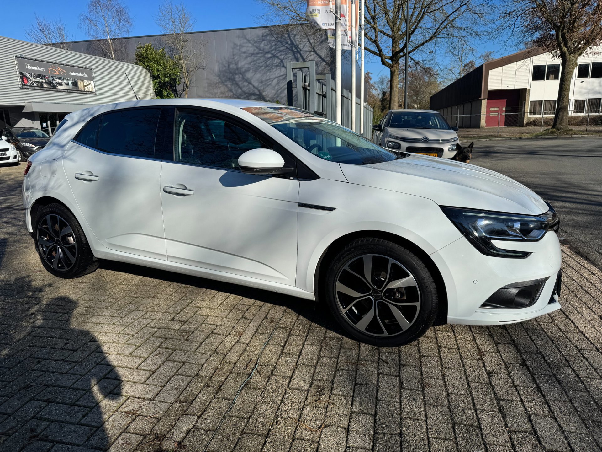 Renault Mégane 1.3 TCe Bose camera (2019), foto 20