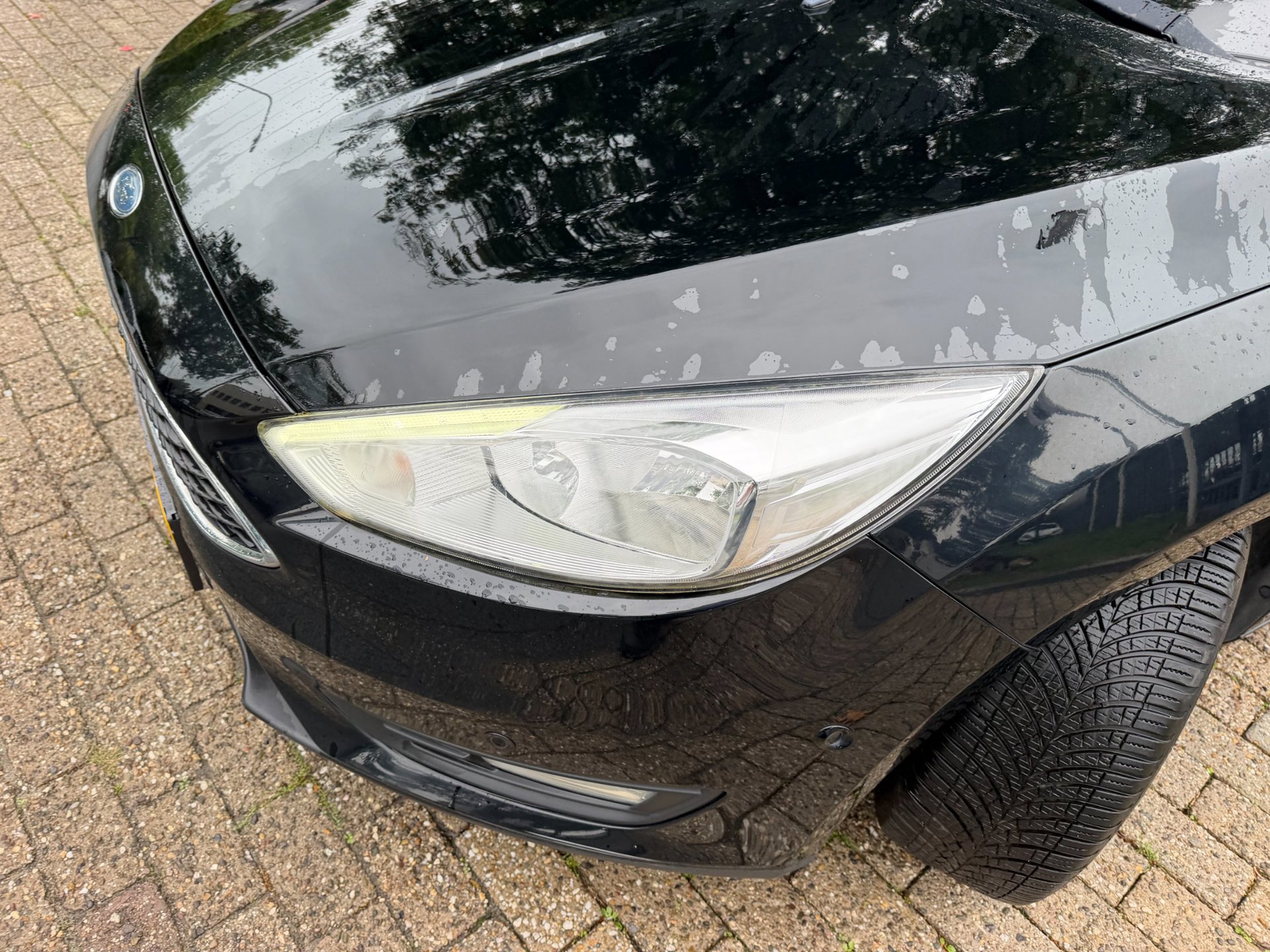 Ford Focus Wagon 1.0 EcoBoost Titanium Business 1e (2018), foto 106