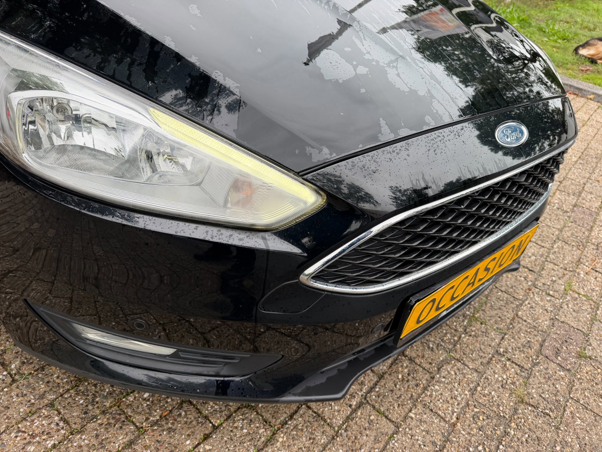 Ford Focus Wagon 1.0 EcoBoost Titanium Business 1e (2018), foto 111
