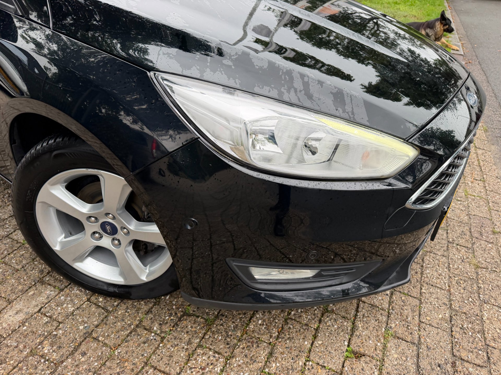 Ford Focus Wagon 1.0 EcoBoost Titanium Business 1e (2018), foto 112