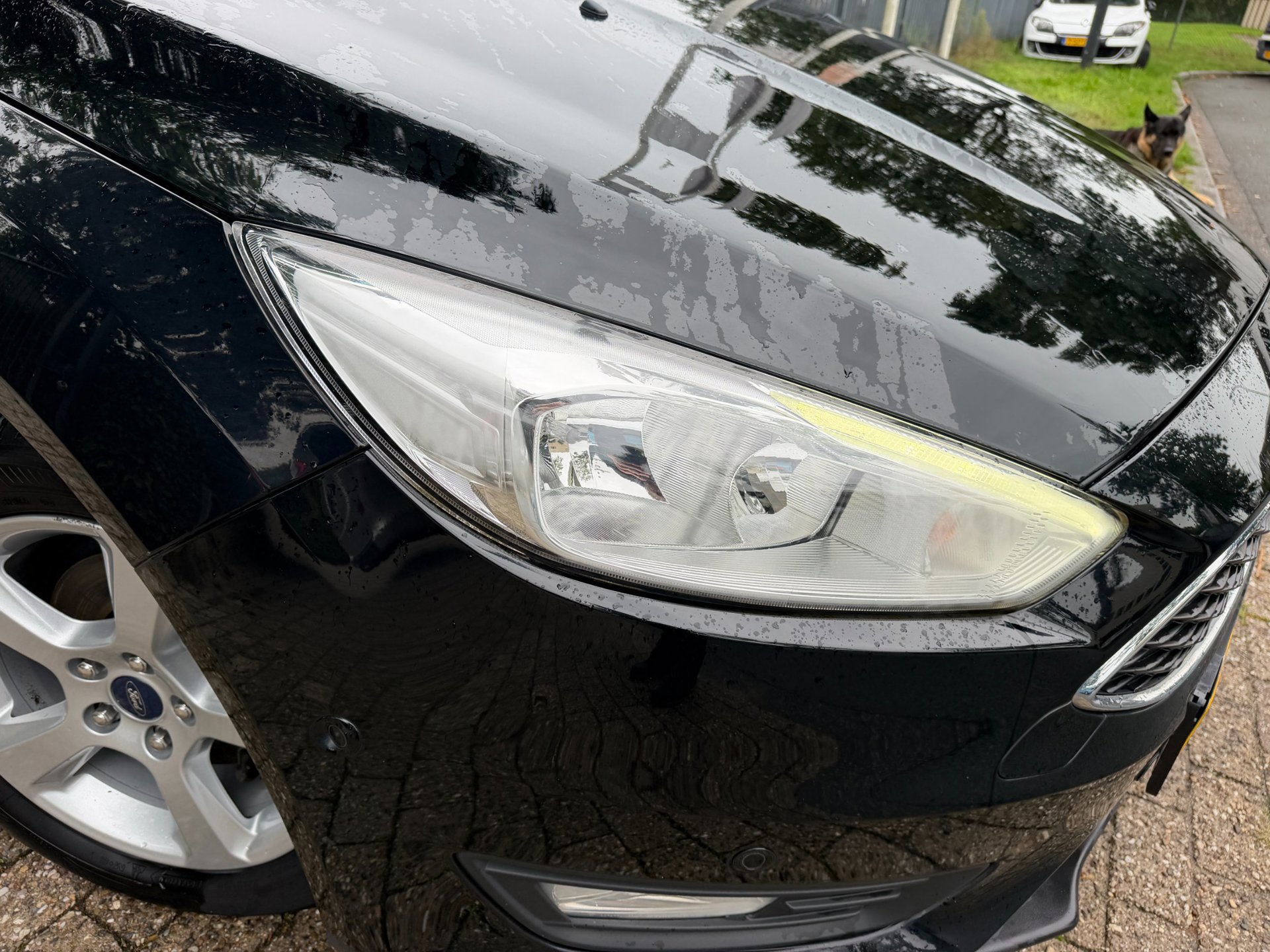 Ford Focus Wagon 1.0 EcoBoost Titanium Business 1e (2018), foto 113