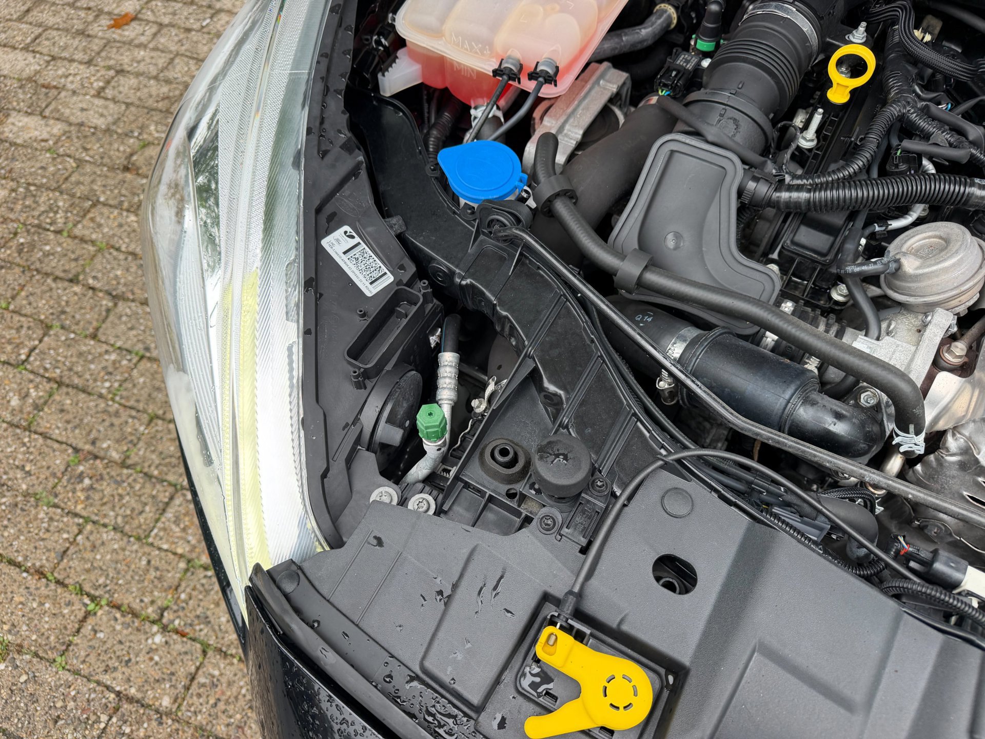 Ford Focus Wagon 1.0 EcoBoost Titanium Business 1e (2018), foto 100