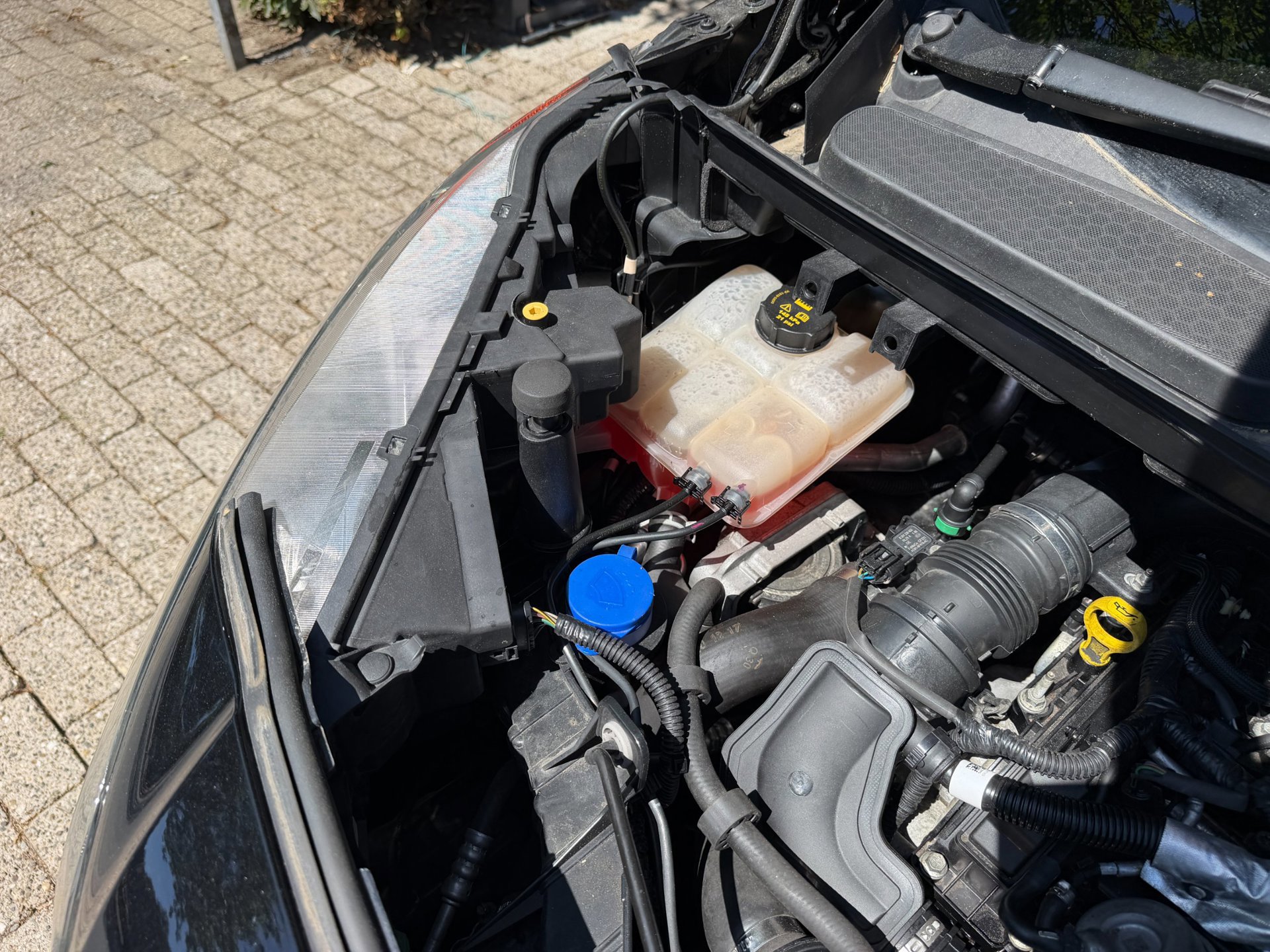 Ford Tourneo Connect Compact 1.0 Trend (2018), foto 89