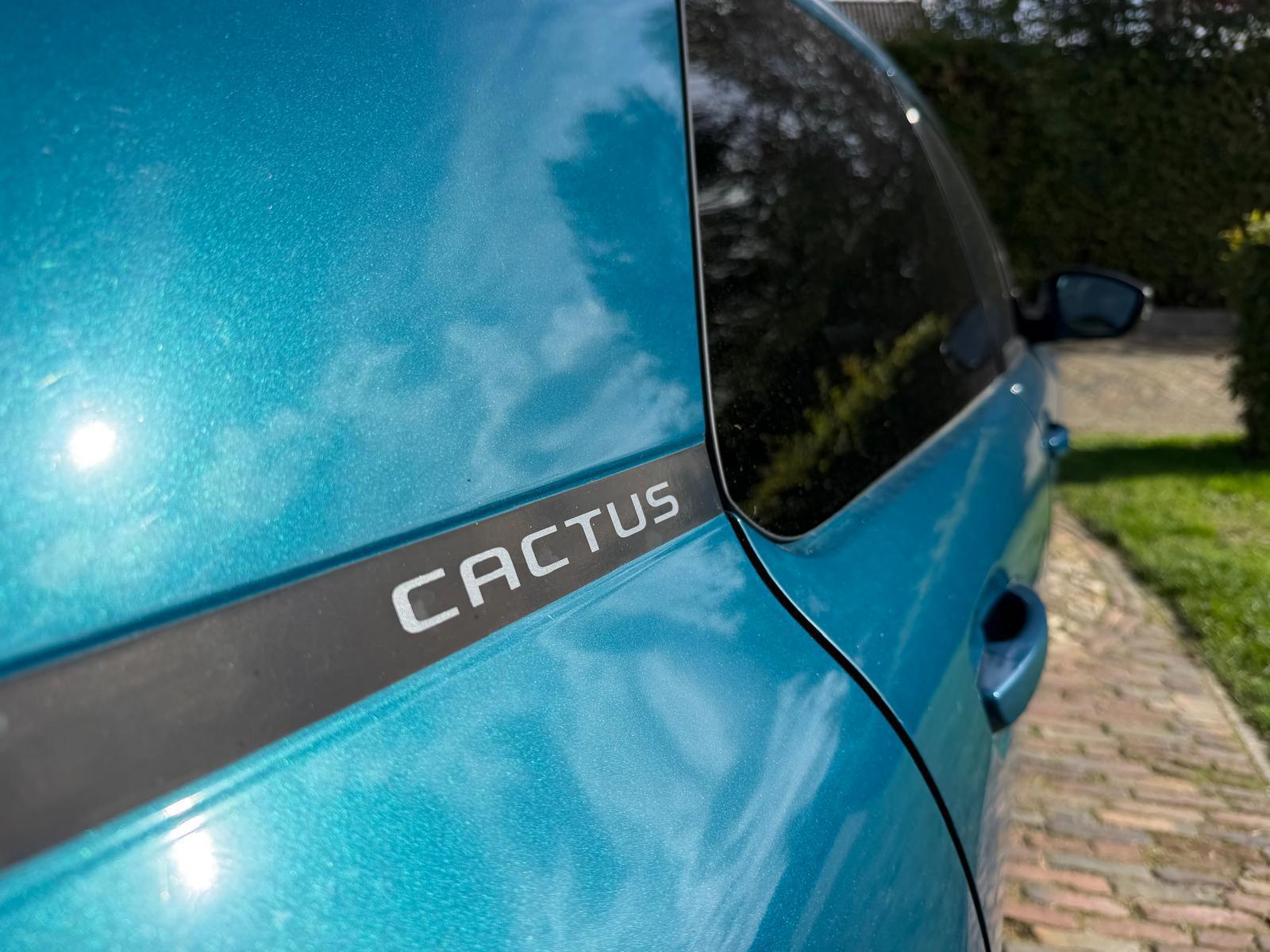 Citroen C4 Cactus 1.2 PureTech Business-NL auto-Camera (2018), foto 20