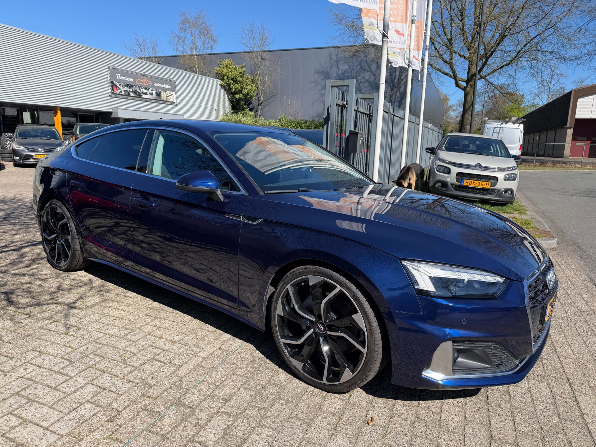 Audi A5 Sportback 40 TFSI S edition mild hybrid (2021), foto 22