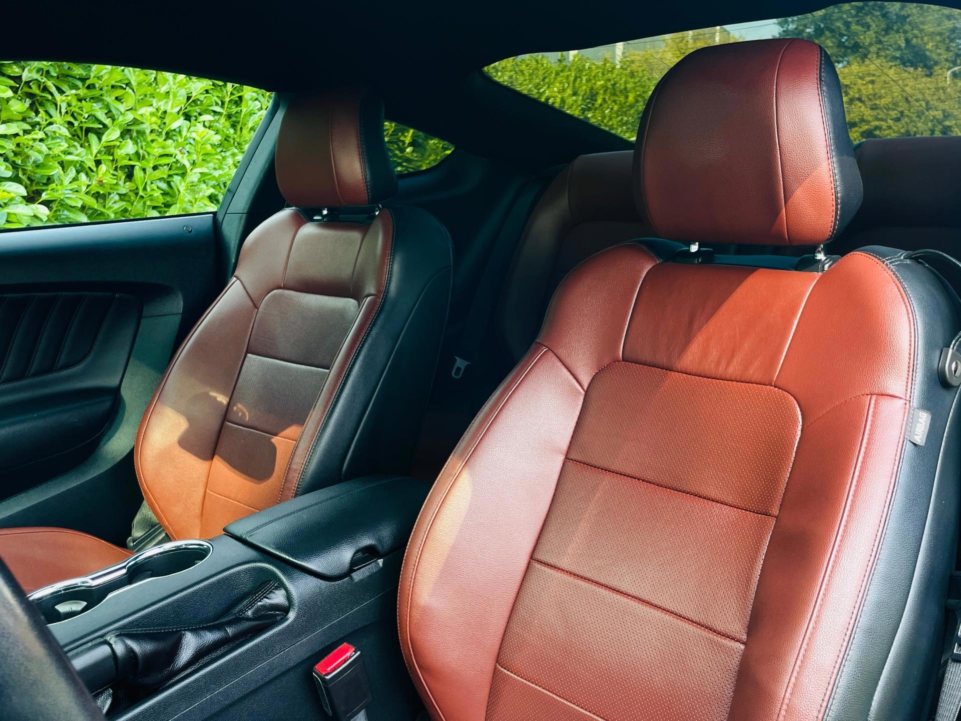 Ford Mustang Fastback 2.3 EcoBoost Premium (2016), foto 11