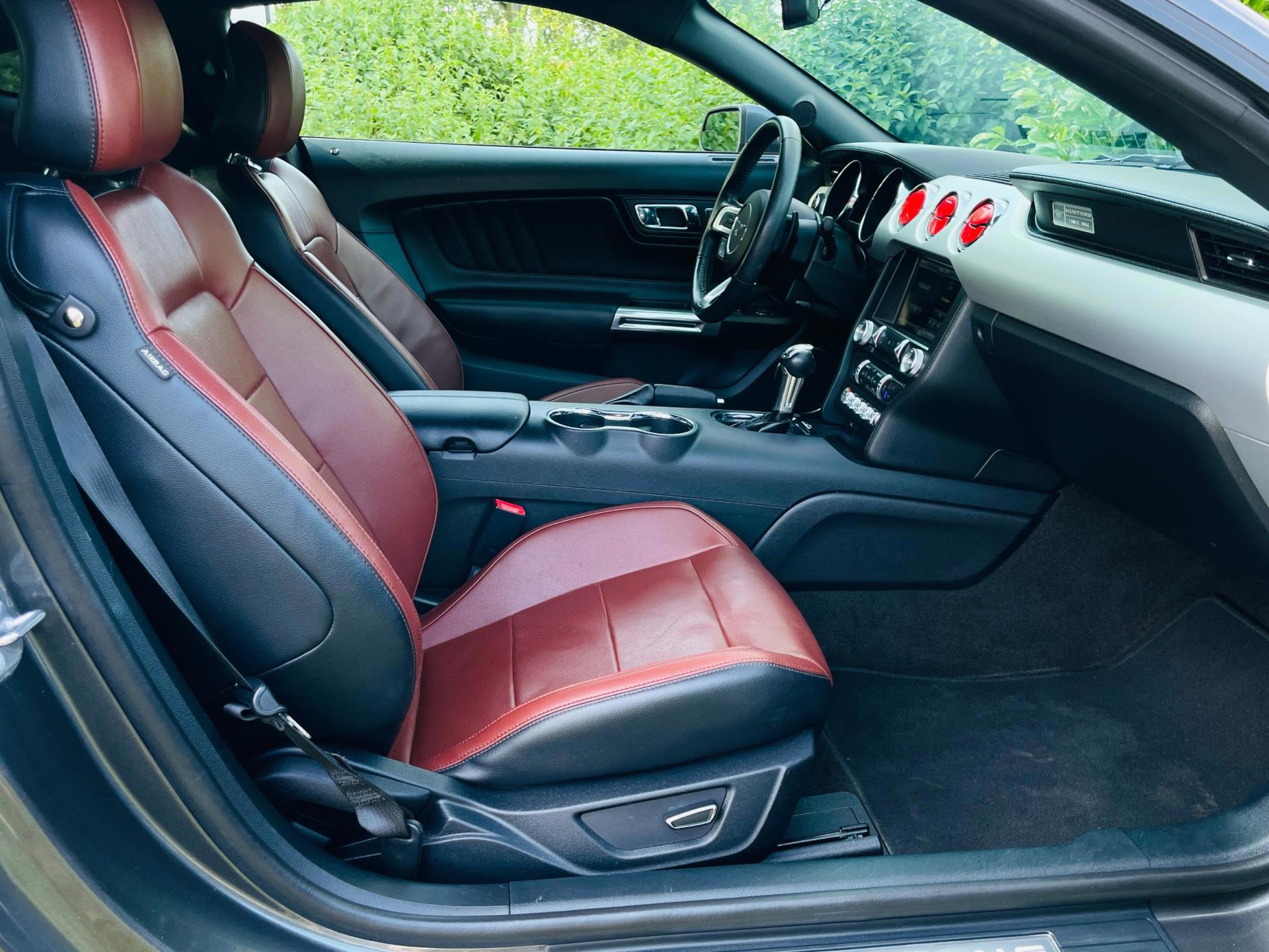 Ford Mustang Fastback 2.3 EcoBoost Premium (2016), foto 12
