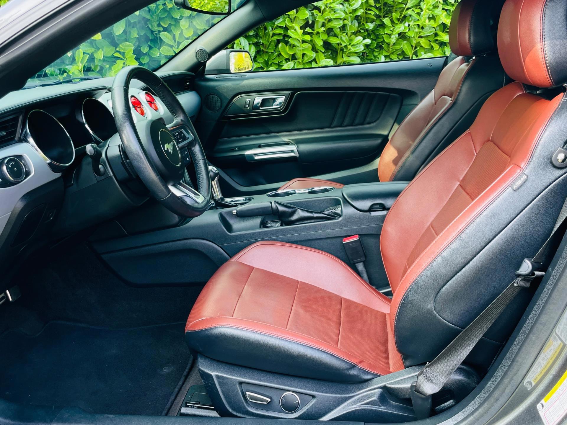 Ford Mustang Fastback 2.3 EcoBoost Premium (2016), foto 10