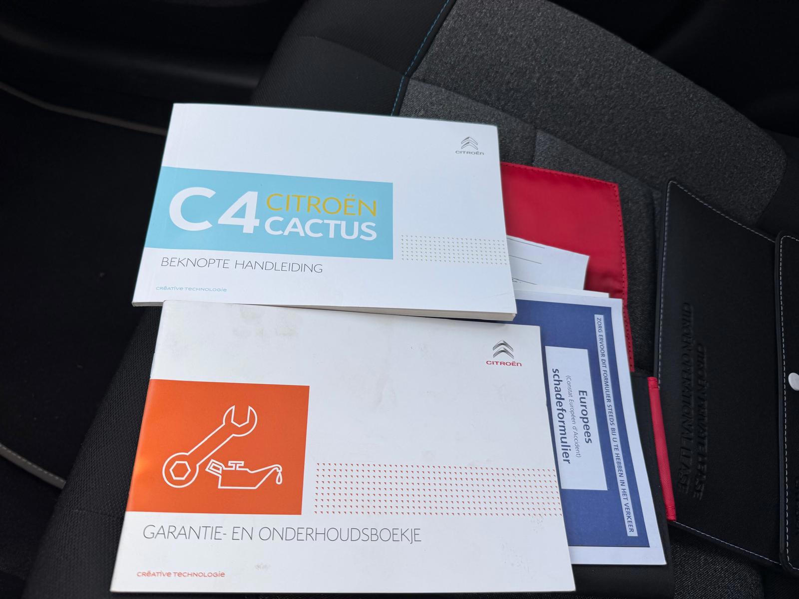 Citroen C4 Cactus 1.2 PureTech Feel-NL auto (2018), foto 14