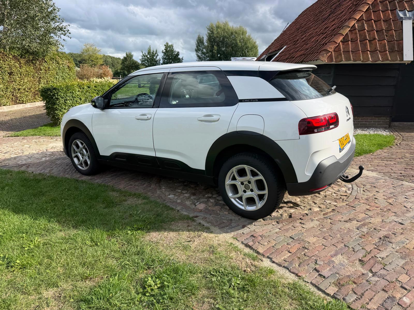 Citroen C4 Cactus 1.2 PureTech Feel-NL auto (2018), foto 3