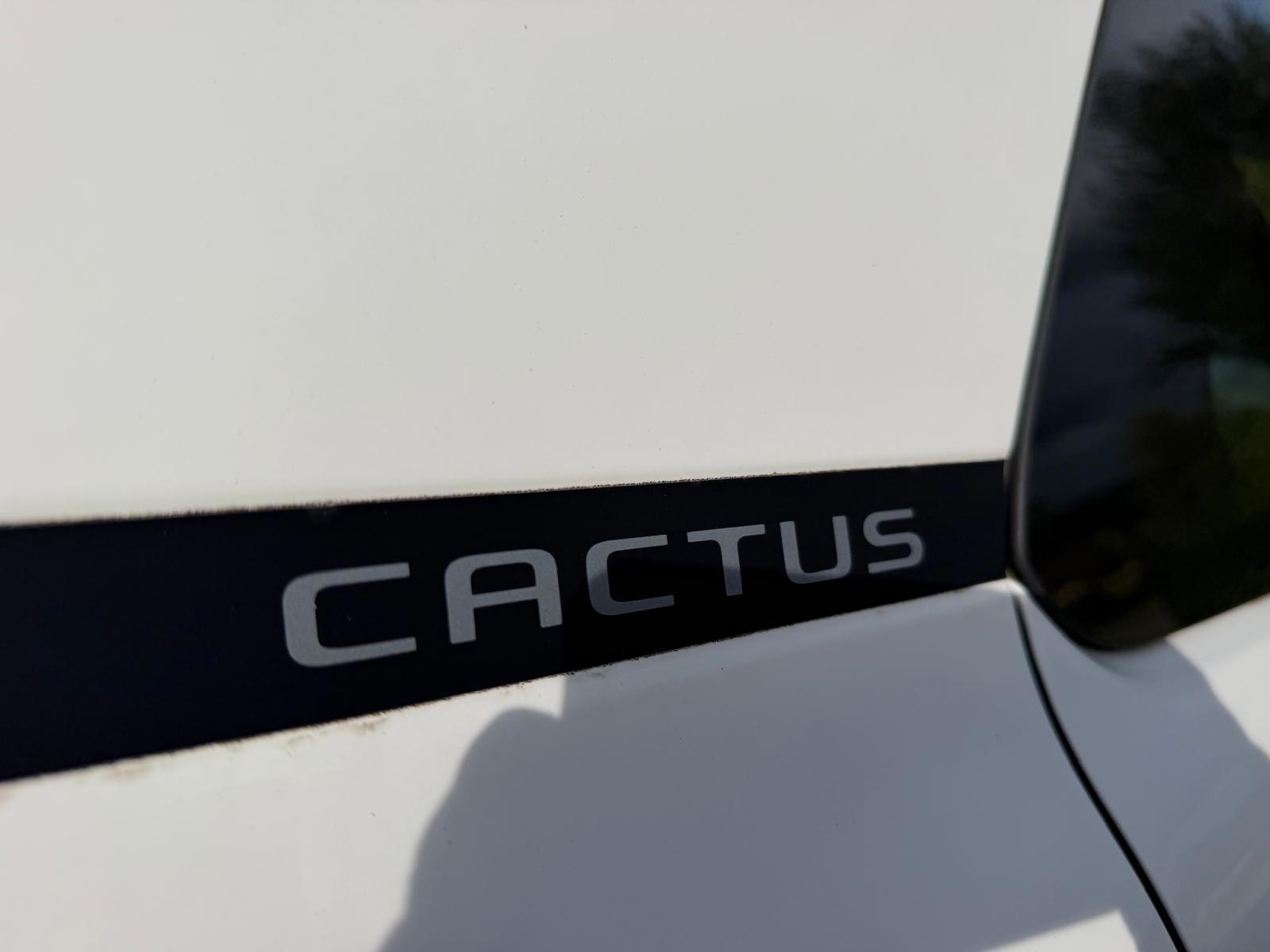 Citroen C4 Cactus 1.2 PureTech Feel-NL auto (2018), foto 29