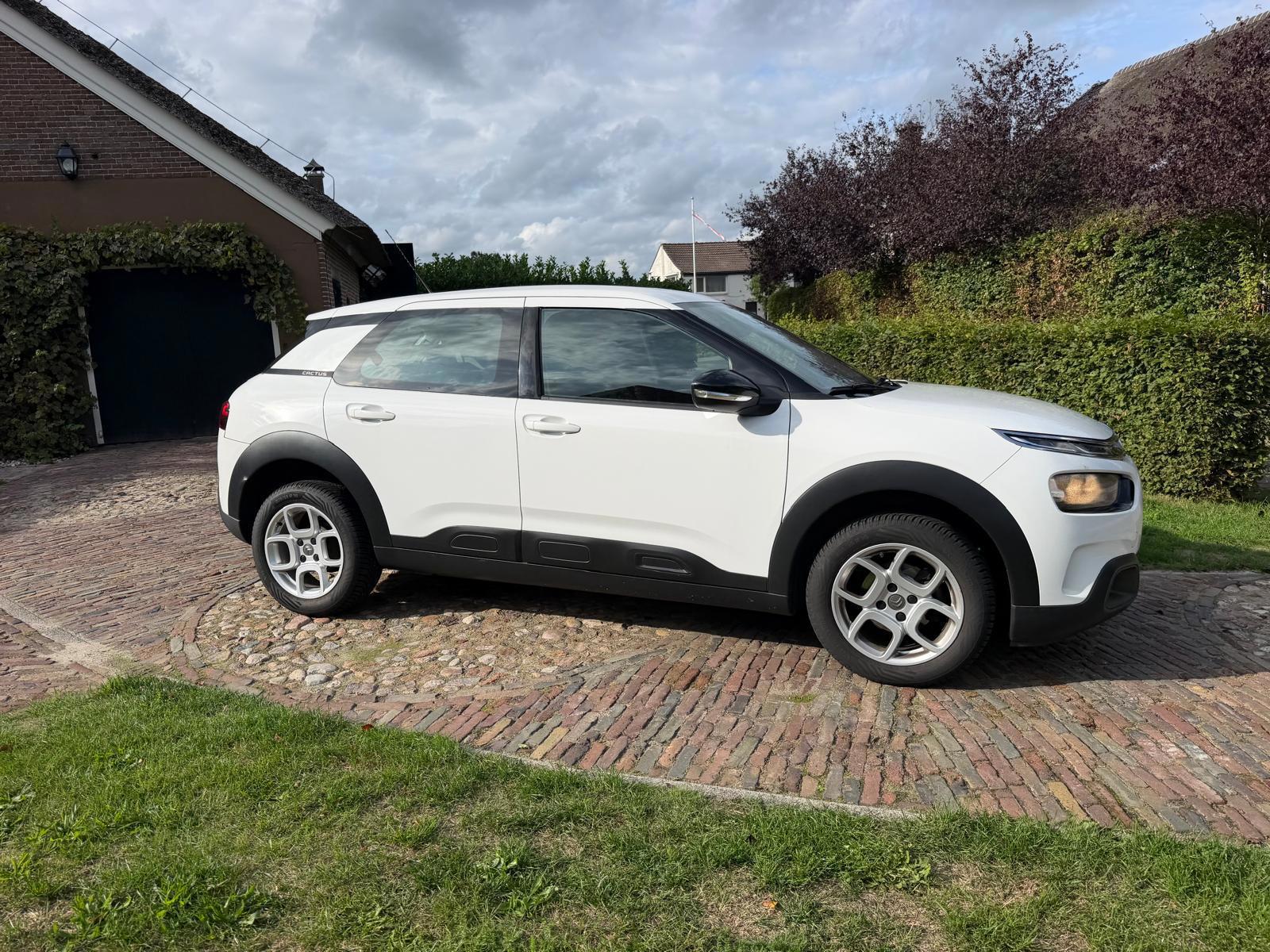 Citroen C4 Cactus 1.2 PureTech Feel-NL auto (2018), foto 6
