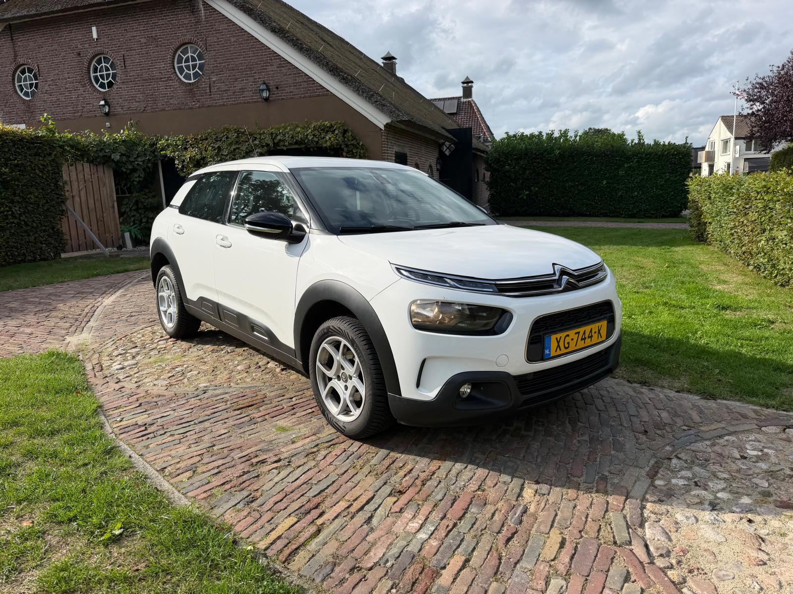 Citroen C4 Cactus 1.2 PureTech Feel-NL auto (2018), foto 7